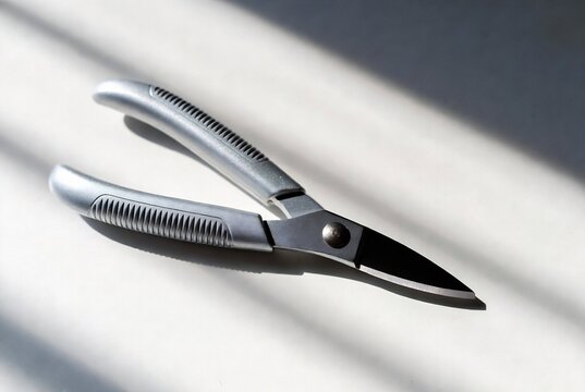 A pair of pruning shears rests on a white surface, illuminated by sunlight.