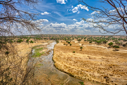 paesaggio africa savana