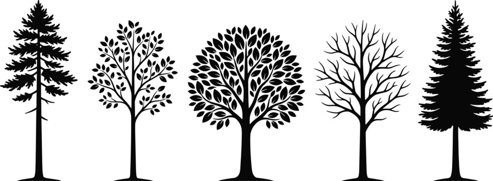 Collection of five tree silhouettes, vector illustration of coniferous and deciduous trees with varied foliage and branching styles, flat vector illustration