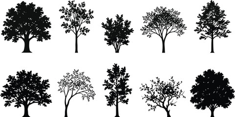 Obraz premium Tree silhouette illustration set, diverse icons including stylized, naturalistic, leafless and dense foliage forms representing forest theme - flat vector illustration