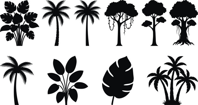 Tropical tree silhouette illustration set, jungle vegetation icons including palms, broadleaf trees and vines representing nature theme - flat vector illustration