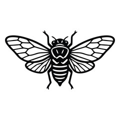 Fototapeta premium Cicada Insect Line Icon: Minimalist Beetle Outline for Entomology, Summer Nature, Cicada Brood, Forest Wildlife, and Outdoor Adventure Vector Illustration