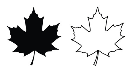 Two maple leaves one dark and one light in a striking silhouette © Sogir