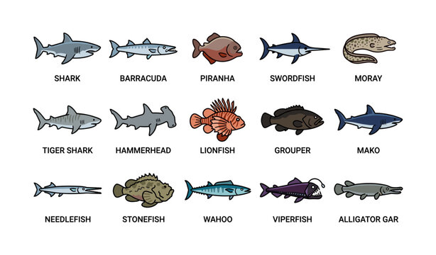 Cartoon illustrations of various fish species including shark, barracuda, piranha, and more