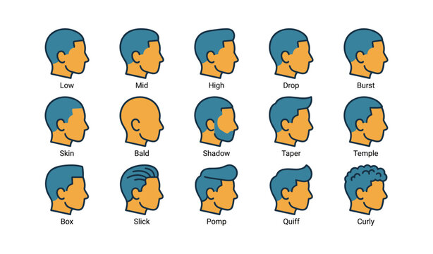 Diverse male haircut styles: low, mid, high, bald, curly, and more - side profile illustrations
