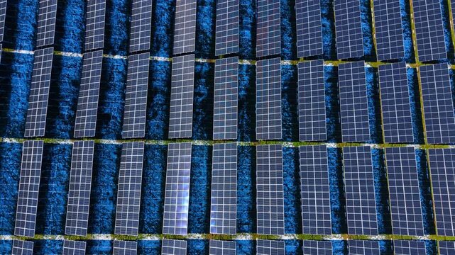 Symmetrical top view of solar panels on blue background. High angle top down shot of rows of photovoltaic cells with even spacing and sun glint.