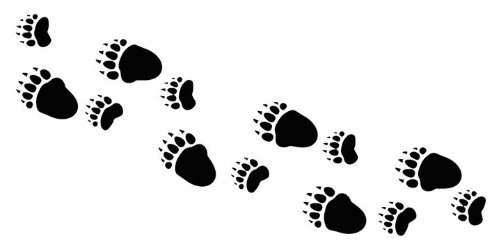 black bear trace silhouette. Editable vector flat illustration, isolated on transparent background.