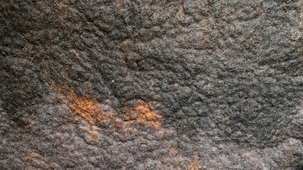 Extreme closeup of a dense, matted wool felt material. The detailed, fibrous texture is mostly dark gray and charcoal with patches of rustic orange. Neutral, abstract background for design projects © Анатолий Еремин