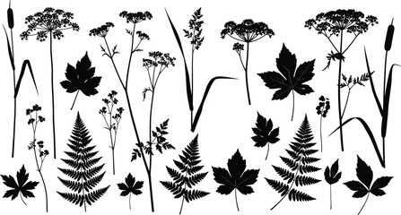 Fototapeta premium Botanical plant leaf silhouettes, diverse foliage vector illustration, nature design elements for decoration, garden, floral art, eco inspiration