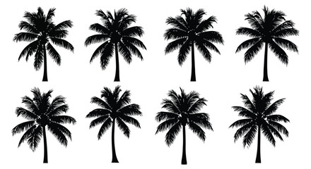 A set of black palm tree silhouettes against a white background, ideal for use in designs requiring tropical or nature themes. © MdSaiful