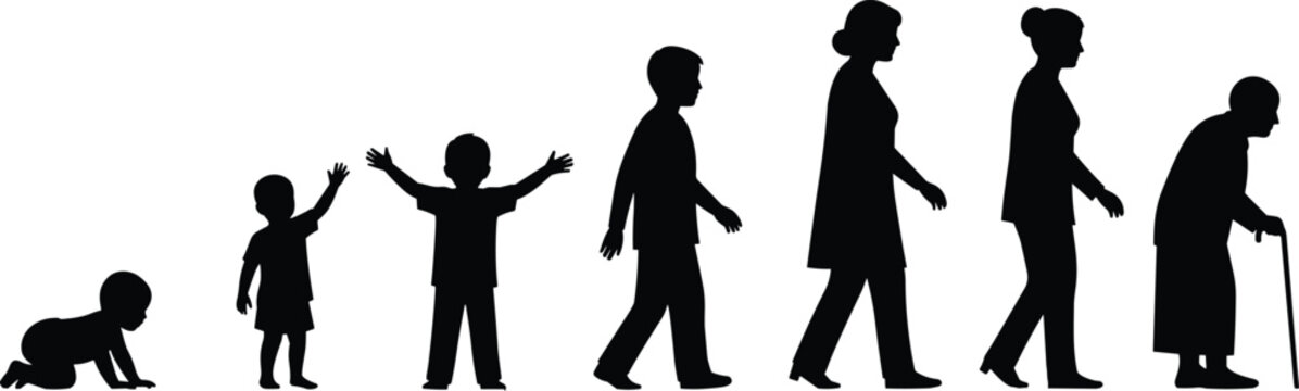 Silhouettes of human life stages from infancy to old age, vector illustration showing growth, aging, development, generational progression artwork