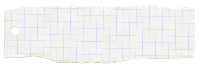 Checkered graph line torn ripped paper. Scrapbook collage crumpled piece. Note memo sheet