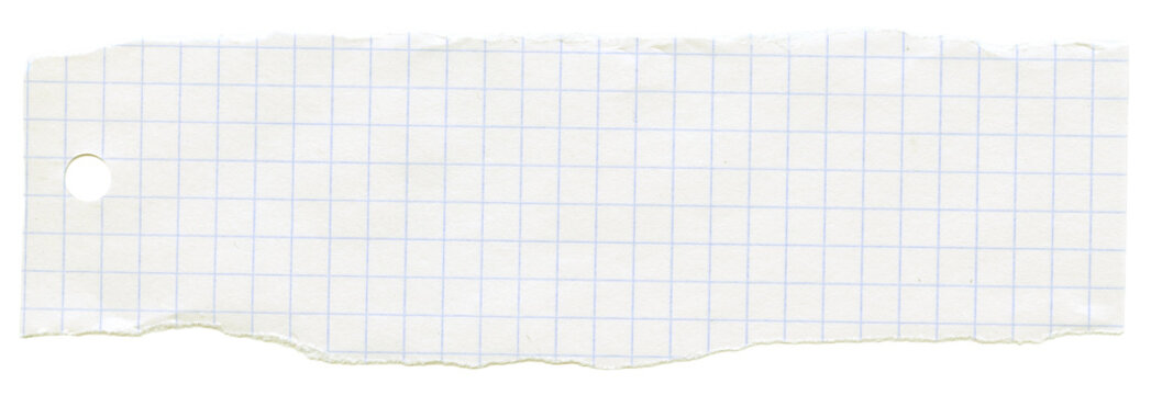 Checkered graph line torn ripped paper. Scrapbook collage crumpled piece. Note memo sheet