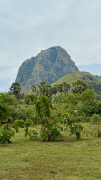 Dramatic rocky mountain peak with lush tropical vegetation and palm trees, Nuca Molas, Flores Island, Indonesia