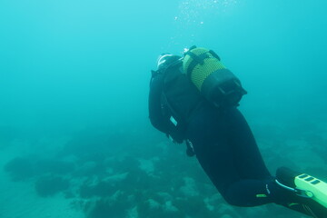 Three Scuba Divers Swimming Underwater, Rear View in Blue Ocean