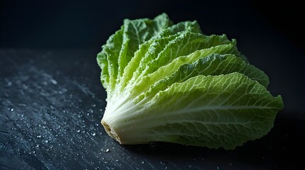 Veiny cabbage texture side lighting.