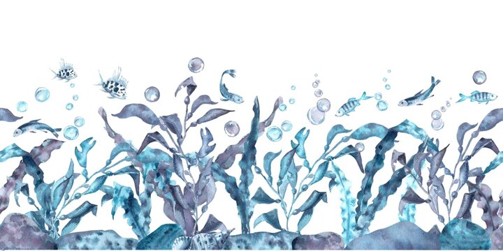 A seamless horizontal border of blue and gray seashells and sea urchins with seaweed, fish, and bubbles, hand-drawn in watercolor on an isolated background. Simple clip art of underwater objects