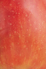 Fototapeta premium Texture of a red apple as a background macro photo.
