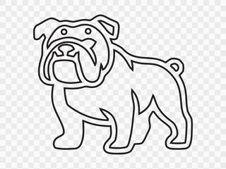 Fototapeta premium Bulldog outline drawing of a friendly pet animal on transparent background.