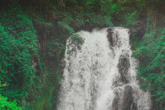A powerful, close-up shot of the Peguche Waterfall Cascadas de Peguche near Otavalo, Ecuador. The white water thunders over dark volcanic rocks, surrounded by a dense, emerald-green Andean forest.