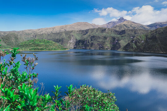 A vibrant close-up of a deep pink mountain flower blooming along the Cuicocha crater rim. The delicate petals and central yellow stamens stand out against the soft, blurred greens of the Andean