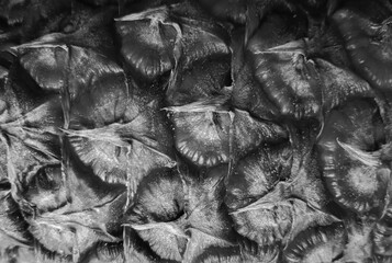 Obraz premium Black and white pineapple skin texture close-up