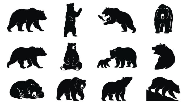 Collection of various bear silhouettes in different poses and actions.