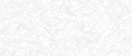 Abstract Topographic Contour Line Map Pattern Background With Subtle Elevation Line Art © NILUFA