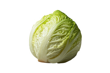 Fototapeta premium Napa cabbage whole head fresh organic produce for healthy cooking ingredients with a transparent background