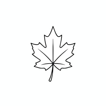 Simple black outline of a stylized maple leaf against a white background