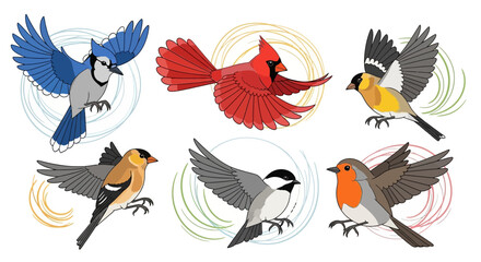Obraz premium Diverse Birds Collection: Blue Jay, Cardinal, Goldfinch, Chickadee, Robin