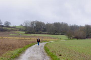 Fototapeta premium Hiker on a trail in the countryside, The terrain of hilly and green grass under cloudy sky, Cadier en Keer is a village in the Dutch province of Limburg, Municipality of Eijsden-Margraten, Netherlands