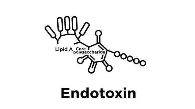 Endotoxin molecular structure diagram showing Lipid A and Core Polysaccharide components.