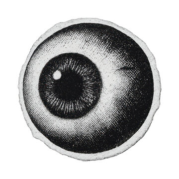 PNG Vintage eye illustration design.