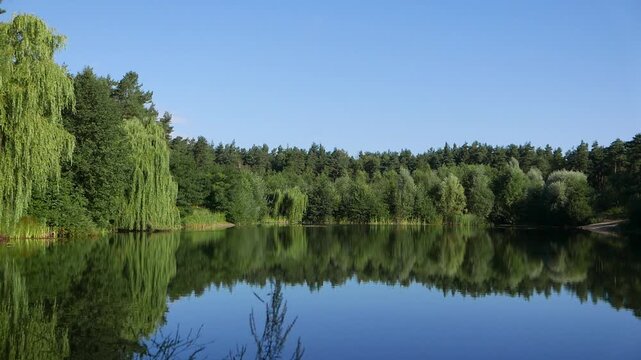 lake in the forest lakeview