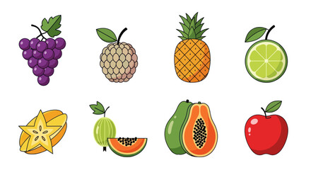 Fototapeta premium Colorful fruits collection illustration