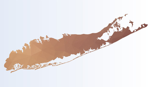 Polygonal colourfull map of Long island