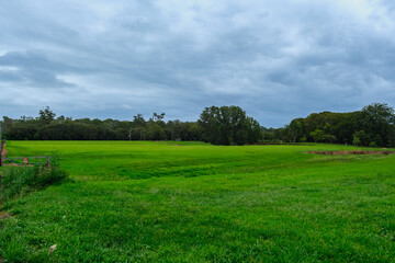 Fototapeta premium Camden, NSW, Australia – February 16, 2026: historic town street scene with local shops and cafes, small-town architecture and roadside daily life in Camden, New South Wales editorial image