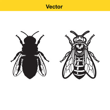 A black and white line art drawing of a cowgirl riding a rearing horse while swinging a lariat