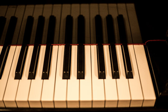  PIANO  con copy space 