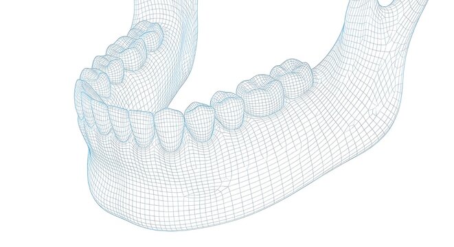 Modelo 3D de Mand&iacute;bula Humana Inferior con Dientes en Wireframe Digital