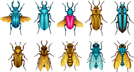 Colorful beetle insect vector set, geometric low poly bugs collection, scarab fly beetle illustration, entomology animals isolated icons © Tohidul