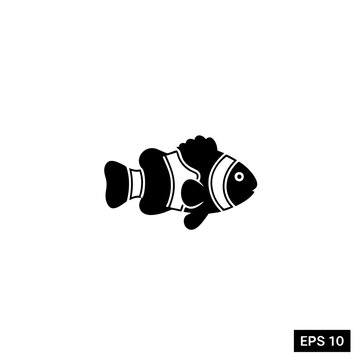 A striking clownfish swimming in mid-water