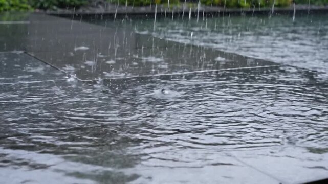 Rain falling on wet pavement creating ripples and splashes in puddles