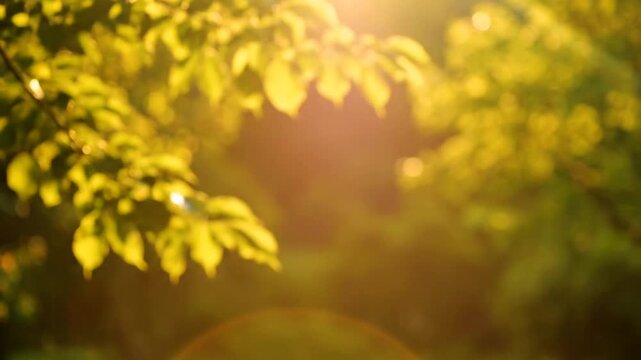 Sunlight filtering through vibrant green leaves in a blurred natural setting with lens flare.