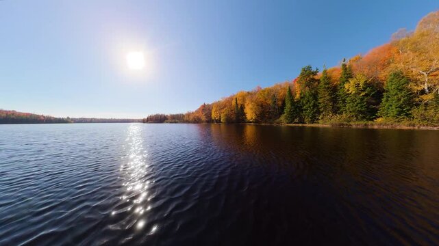 cinematic drone glide over calm lake surface at sunrise, peaceful tracking shot of vibrant autumn forest reflections and morning mist with smooth water ripples