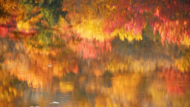 Abstract reflection of vibrant autumn forest on lake surface with ripples and moving debris, cinematic water mirror effect with fall colors and natural organic textures