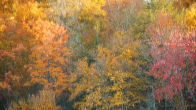 Abstract reflection of autumn forest on lake surface with ripples and moving debris, cinematic water mirror effect with vibrant fall colors and wind movement