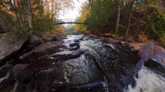 Low angle shot of rushing river water flowing under a footbridge in autumn forest, cinematic perspective of rapids and bridge with golden fall foliage in background
