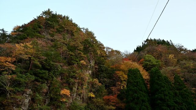 樅木の吊橋「秘境の秋を一望」
「地上数十メートルの吊橋の上から、360度広がる紅葉の山々を捉えたダイナミックな映像。五家荘の深く険しい地形が生み出す、圧巻の秋景色です。」
熊本県八代市泉町「五家荘（ごかのしょう）」
樅木（もみぎ）の吊橋
Momigi Suspension Bridge: "A Panoramic View of Autumn in a Hidden Paradise"